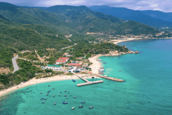 Vinh Hy Binh Hung Dong Cuu Vuon Nho