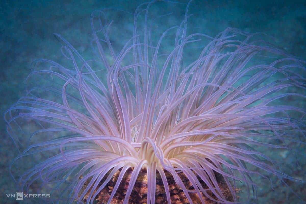 7 JPG 1622171434 min