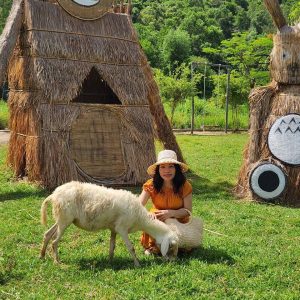 平兴永希3号旅游