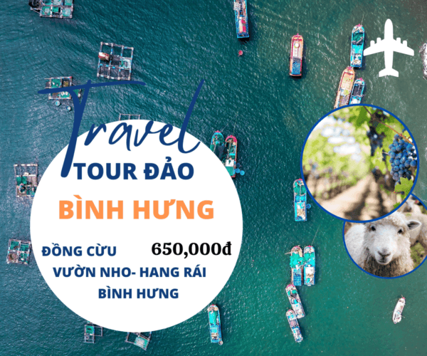 Tour Bình Hưng - Đồng Cừu