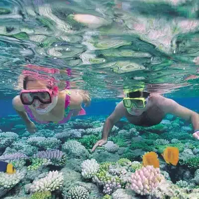 照片 1 15944345600252096987156