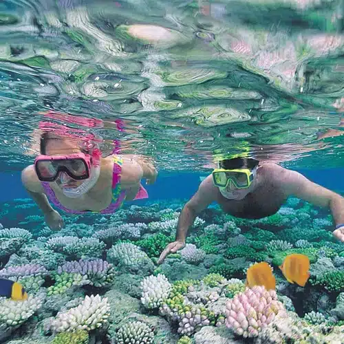 photo 1 15944345600252096987156