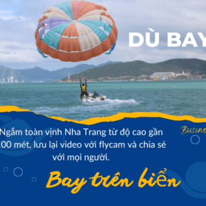 Business Tour Du Bay min