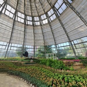 Vườn hoa tại Vinpearl Nha Trang