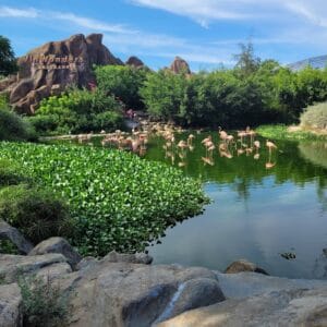 Vườn thú Vinpearl Nha Trang