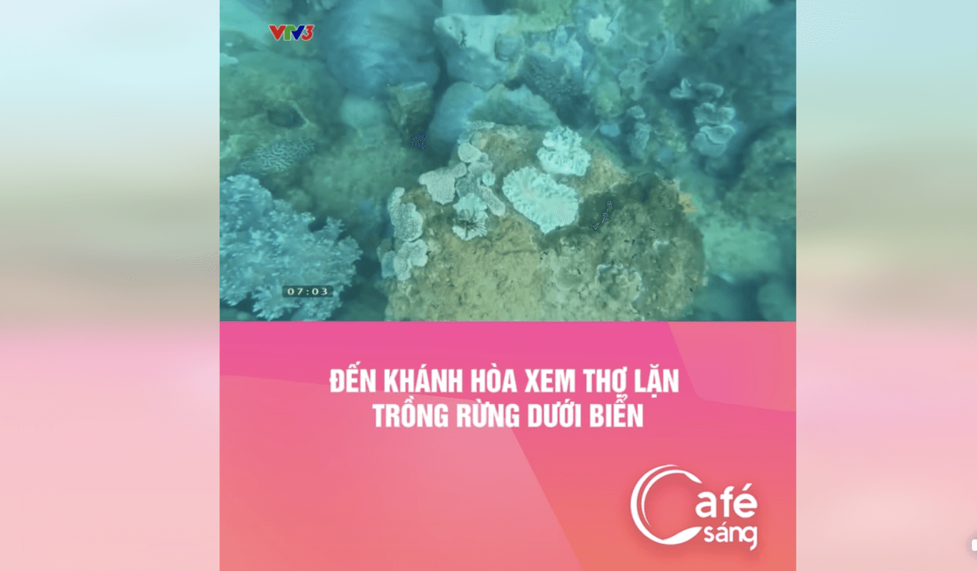 Video bảo tồn san hô