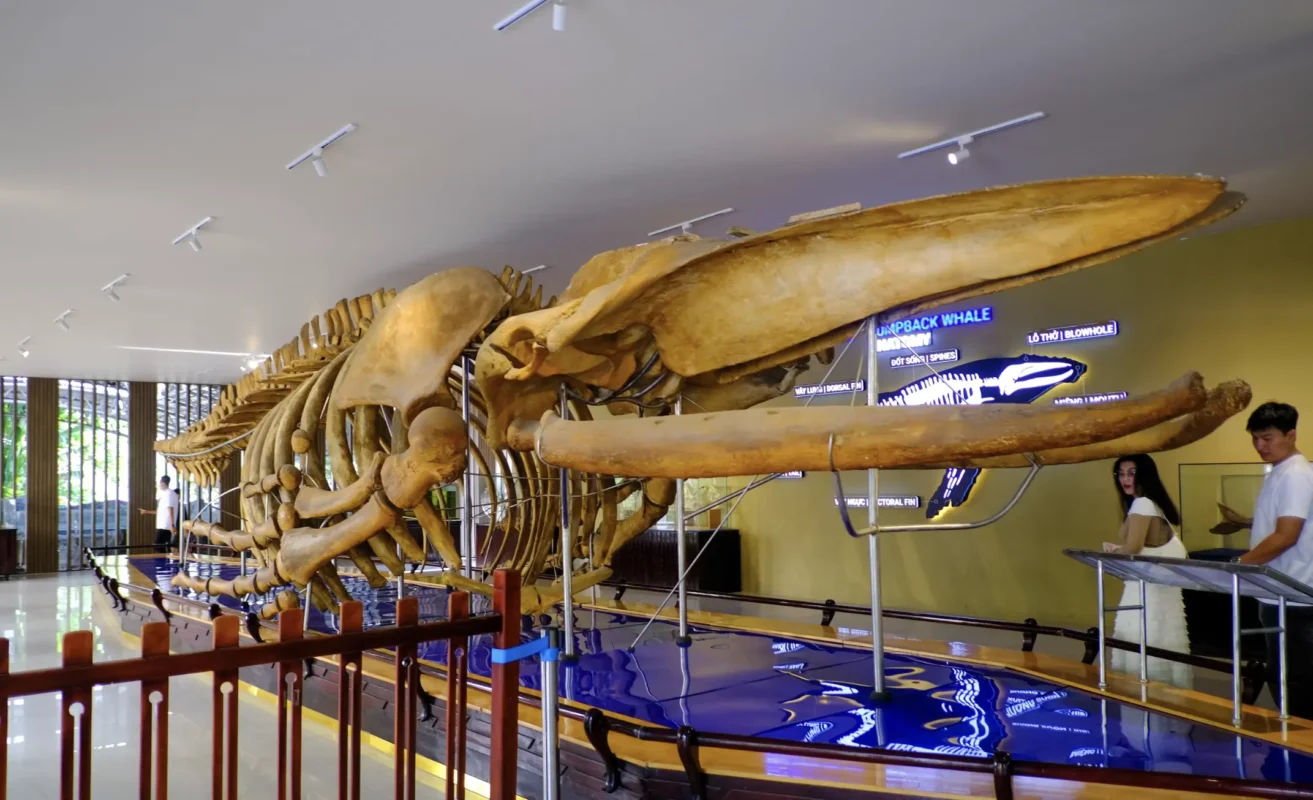 Vien hai duong học nha trang 4