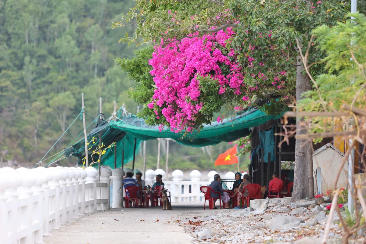 Làng Chài Bích Đầm