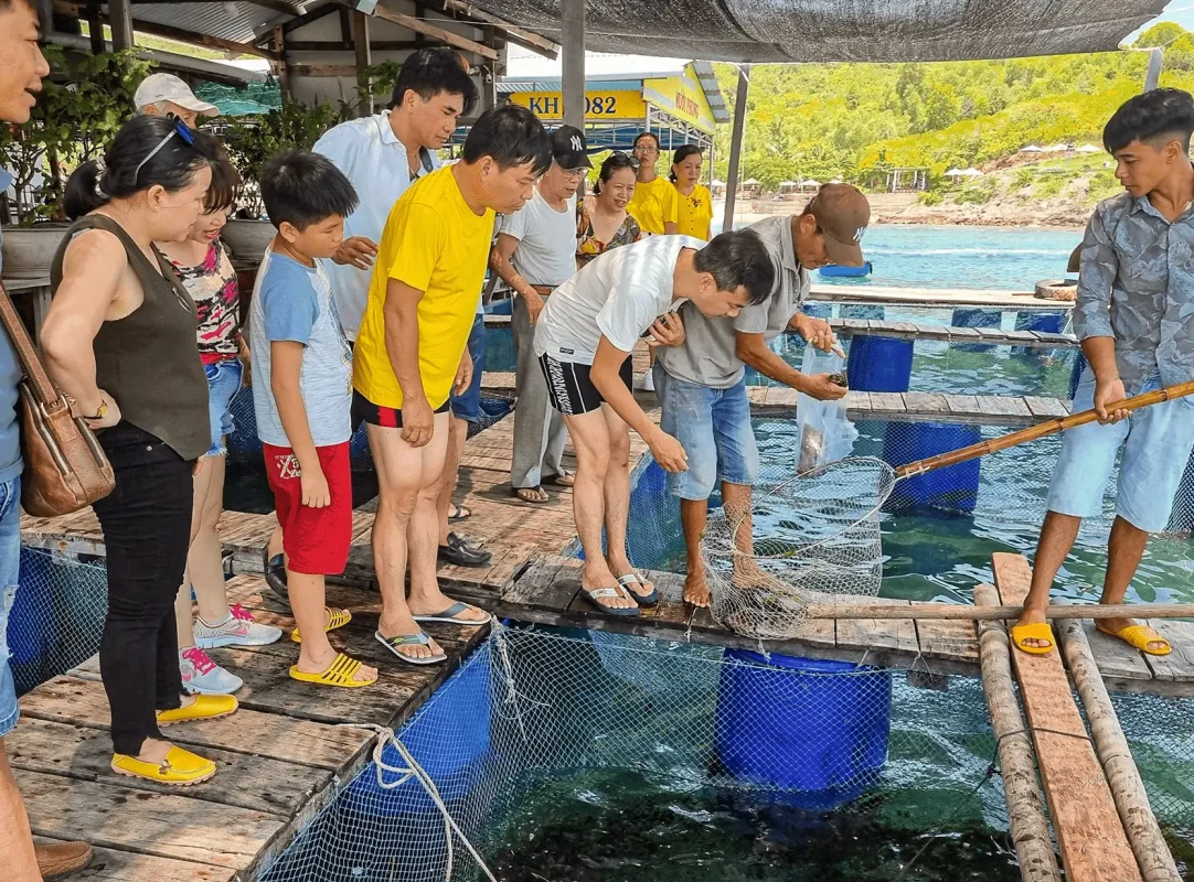 Lang chai Nha Trang - hai san song