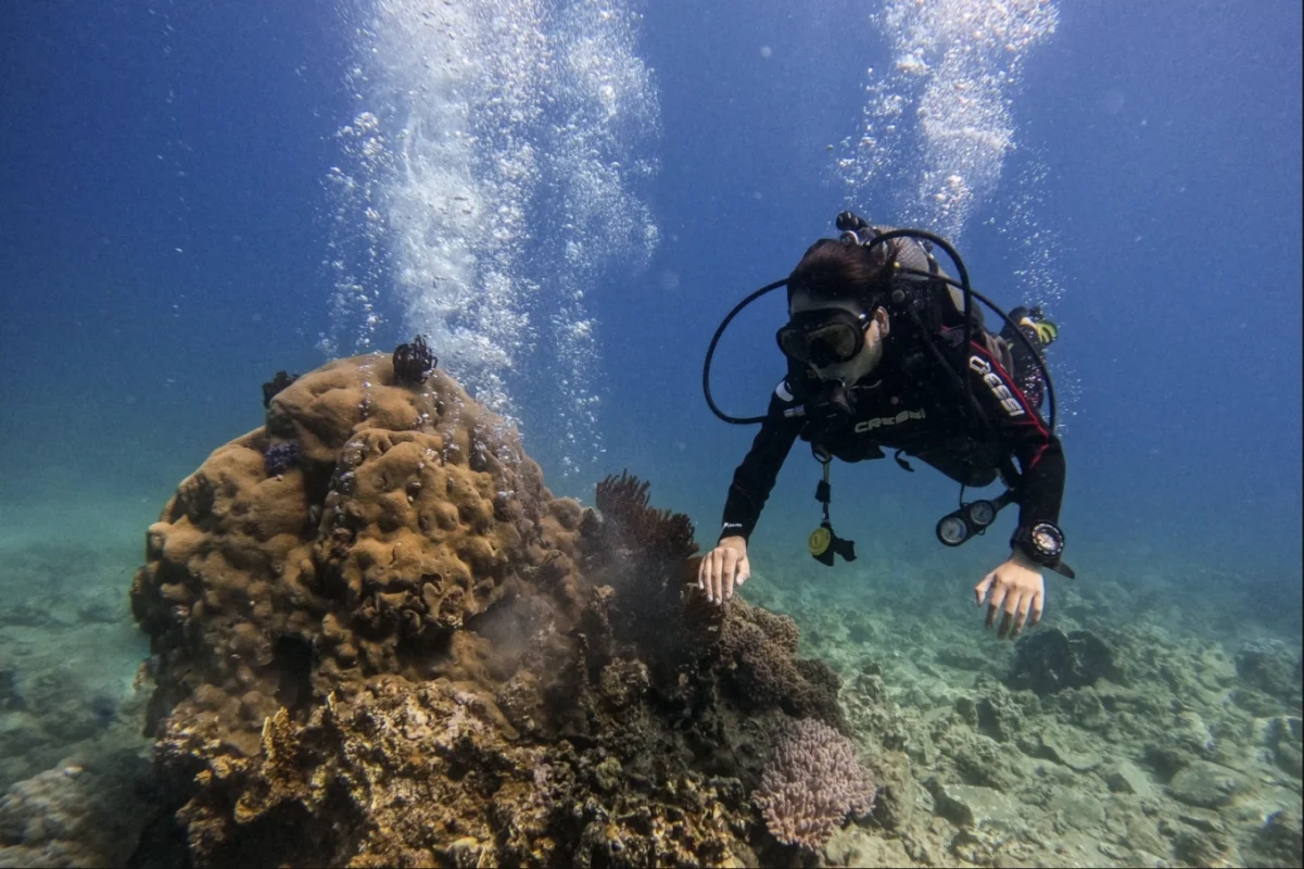 Cấm lặn biển Hòn Mun 