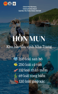 Banner Hon Mun dung